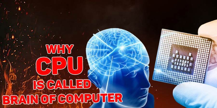 Why the CPU is called the Brain of the Computer